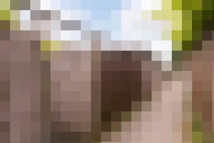 Jerome Kernplantsoen 41 Utrecht thumbnail 10