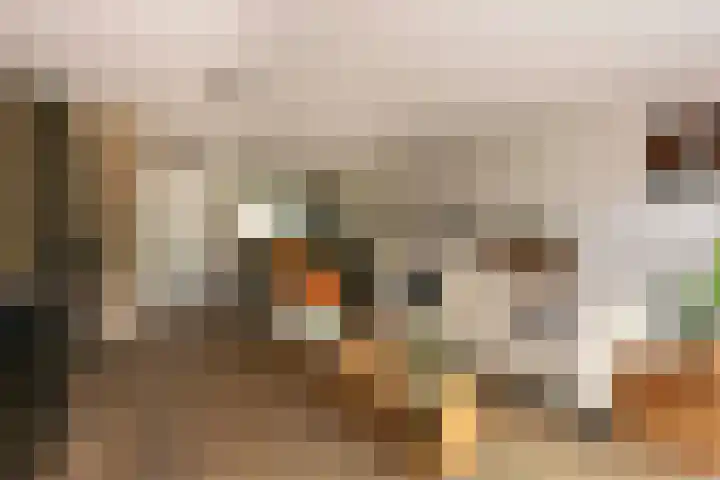 Jerome Kernplantsoen 41 Utrecht thumbnail 13