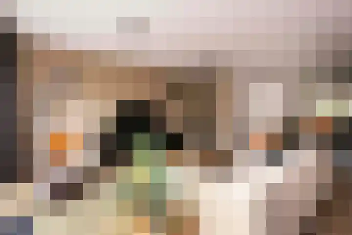 Jerome Kernplantsoen 41 Utrecht thumbnail 14
