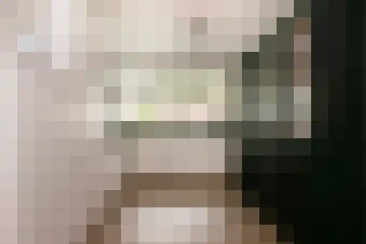 Jerome Kernplantsoen 41 Utrecht thumbnail 16