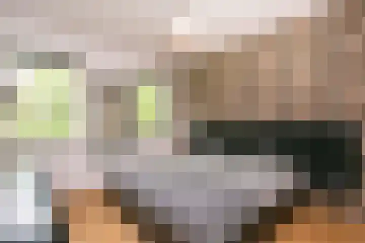 Jerome Kernplantsoen 41 Utrecht thumbnail 21