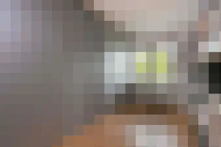 Jerome Kernplantsoen 41 Utrecht thumbnail 23