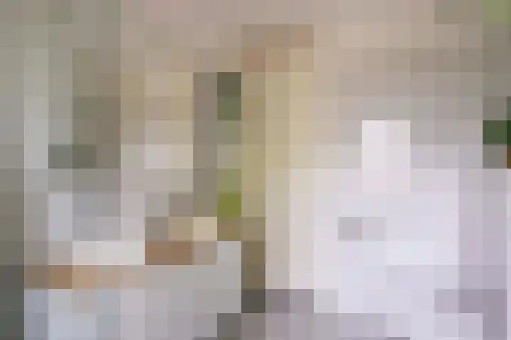 Jerome Kernplantsoen 41 Utrecht thumbnail 26