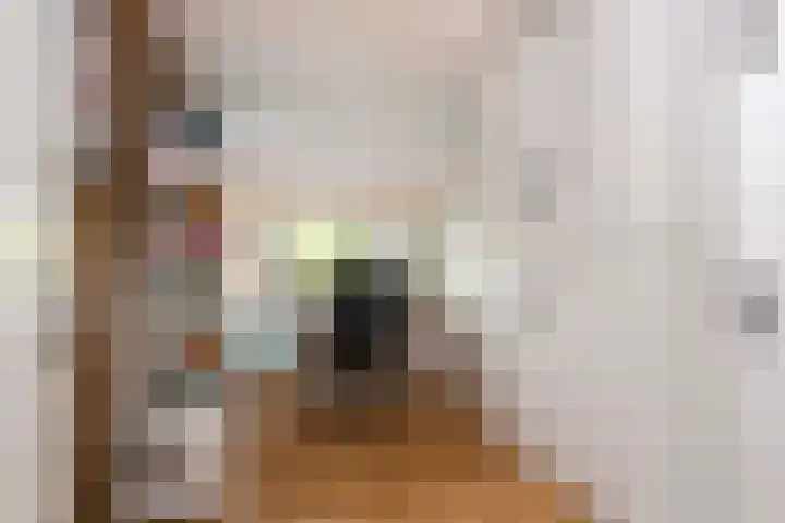 Jerome Kernplantsoen 41 Utrecht thumbnail 27
