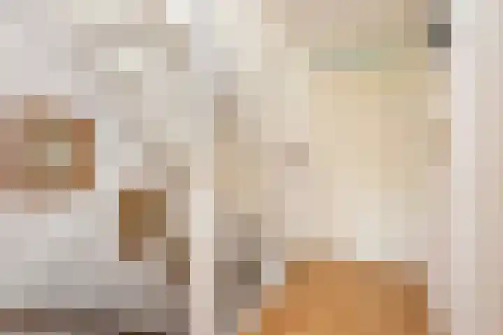 Jerome Kernplantsoen 41 Utrecht thumbnail 28