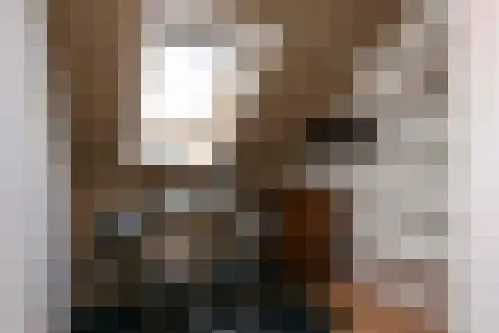 Jerome Kernplantsoen 41 Utrecht thumbnail 29