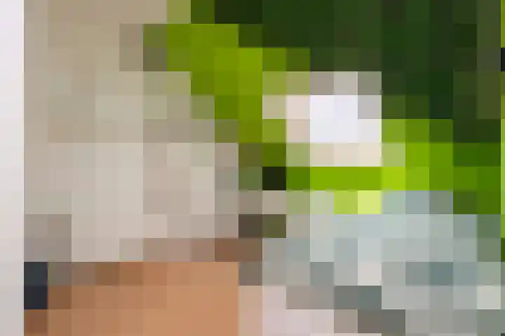 Jerome Kernplantsoen 41 Utrecht thumbnail 32
