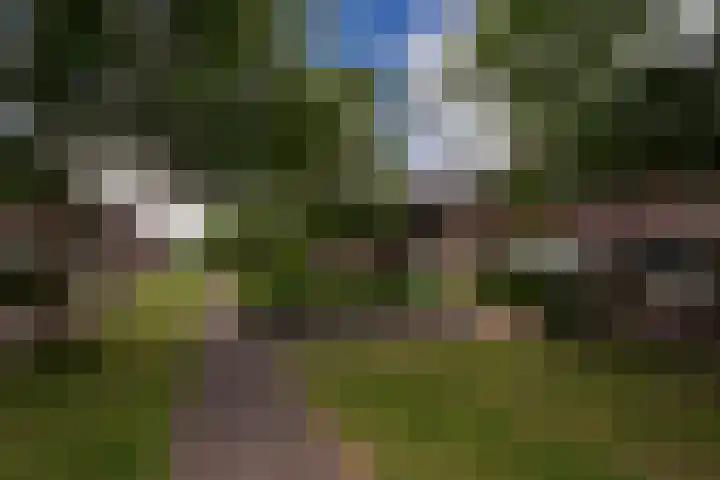 Jerome Kernplantsoen 41 Utrecht thumbnail 35