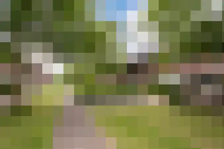 Jerome Kernplantsoen 41 Utrecht thumbnail 36