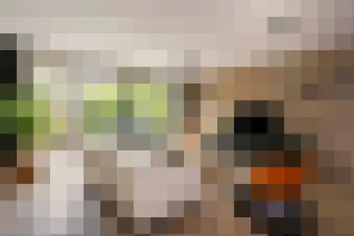 Jerome Kernplantsoen 41 Utrecht thumbnail 5