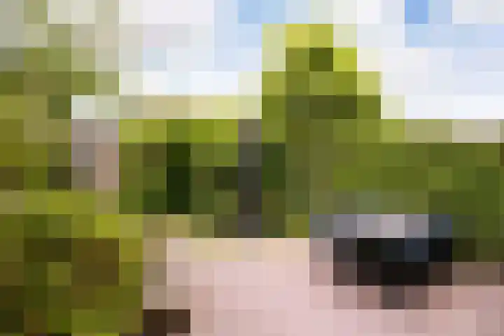 Jerome Kernplantsoen 41 Utrecht thumbnail 6