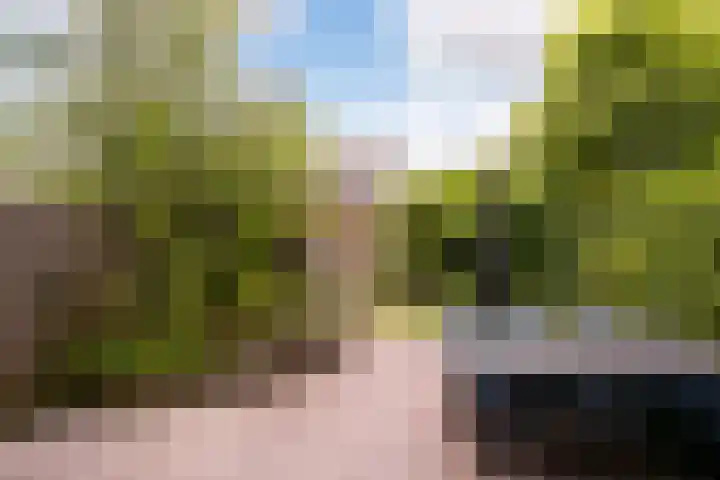 Jerome Kernplantsoen 41 Utrecht thumbnail 7