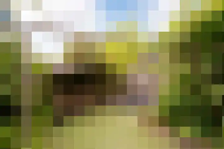Jerome Kernplantsoen 41 Utrecht thumbnail 8