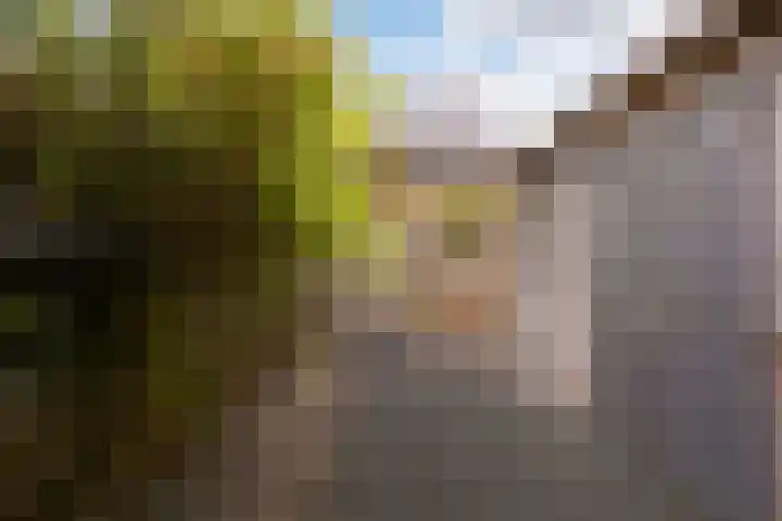 Jerome Kernplantsoen 41 Utrecht thumbnail 9