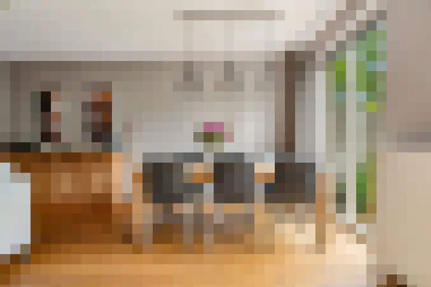 Jerome Kernplantsoen 59 Utrecht thumbnail 8