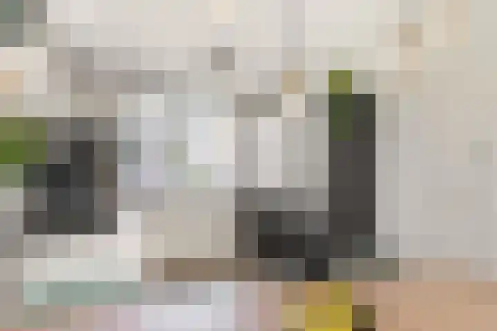 Jeronimus Cooymansstraat 38 Heemskerk thumbnail 10