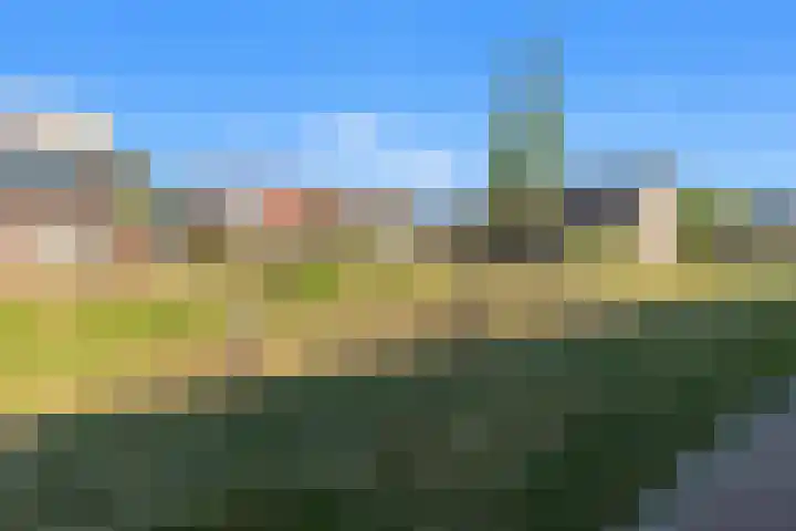 Jeronimus Cooymansstraat 38 Heemskerk thumbnail 30
