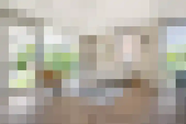 Jeronimus Cooymansstraat 38 Heemskerk thumbnail 8
