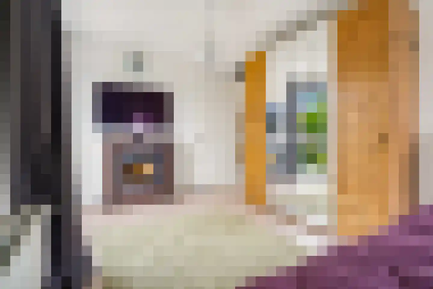 Jerry Bockstraat 21 Utrecht thumbnail 20