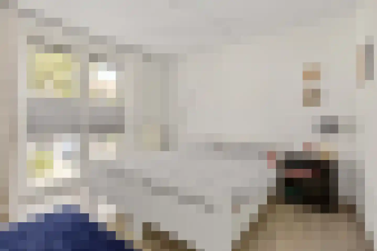 Jerry Bockstraat 36 Utrecht thumbnail 17