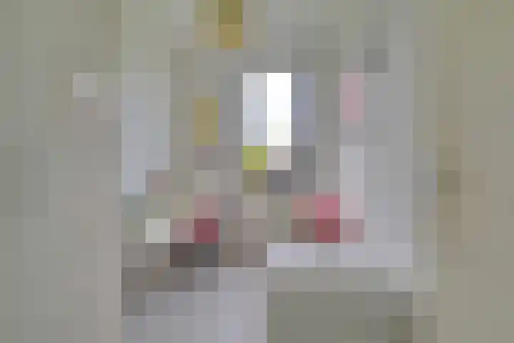 Jerry Bockstraat 4 Utrecht thumbnail 19