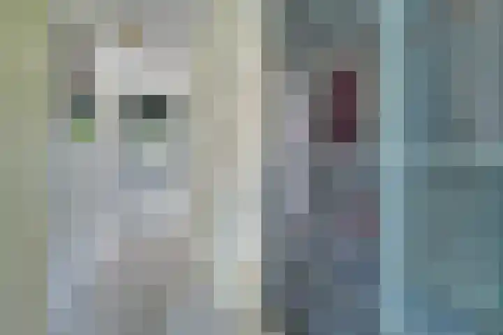 Jerry Bockstraat 4 Utrecht thumbnail 25