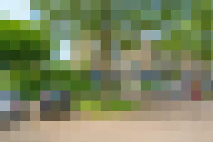 Jerry Bockstraat 4 Utrecht thumbnail 42