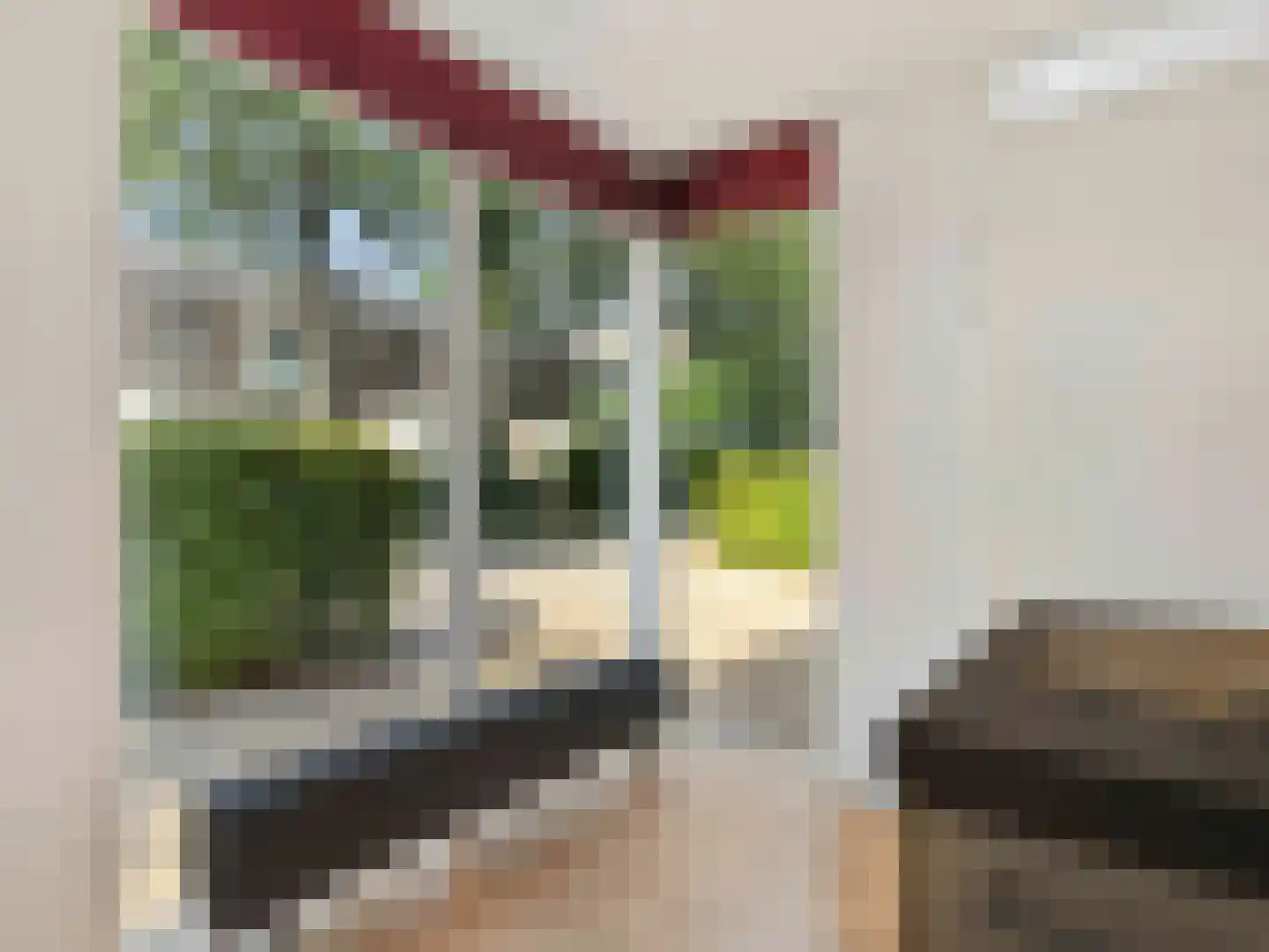 Jerry Bockstraat 57 Utrecht thumbnail 19