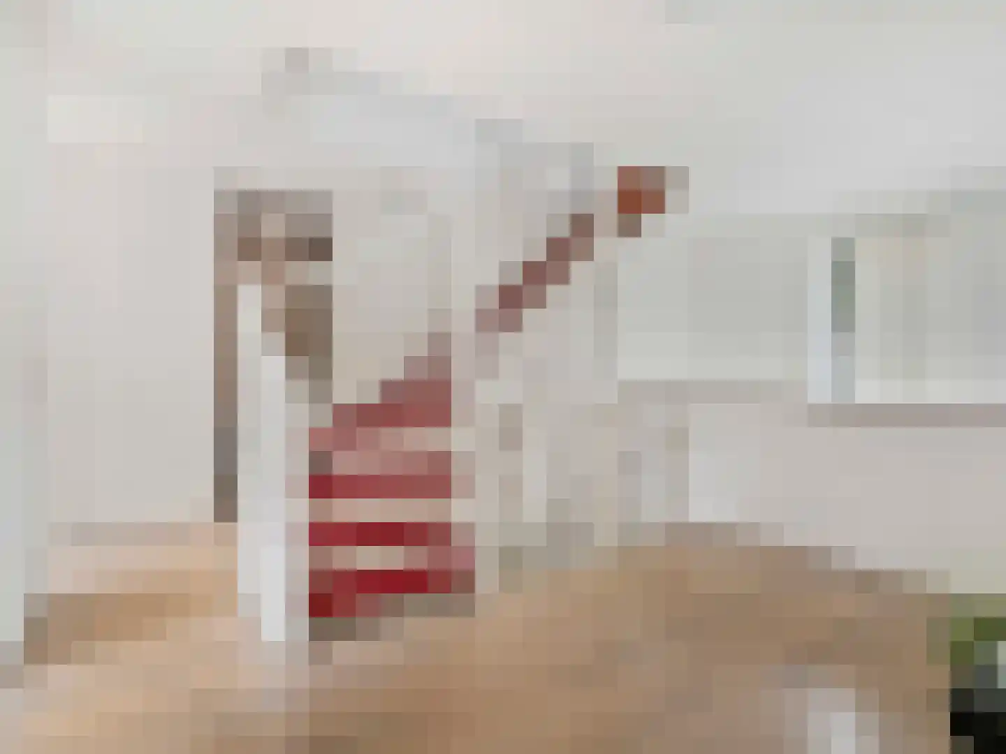 Jerry Bockstraat 57 Utrecht thumbnail 20