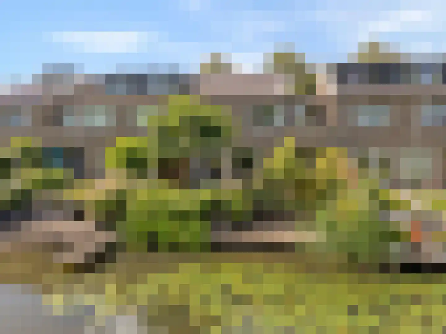 Jerry Bockstraat 57 Utrecht thumbnail 36