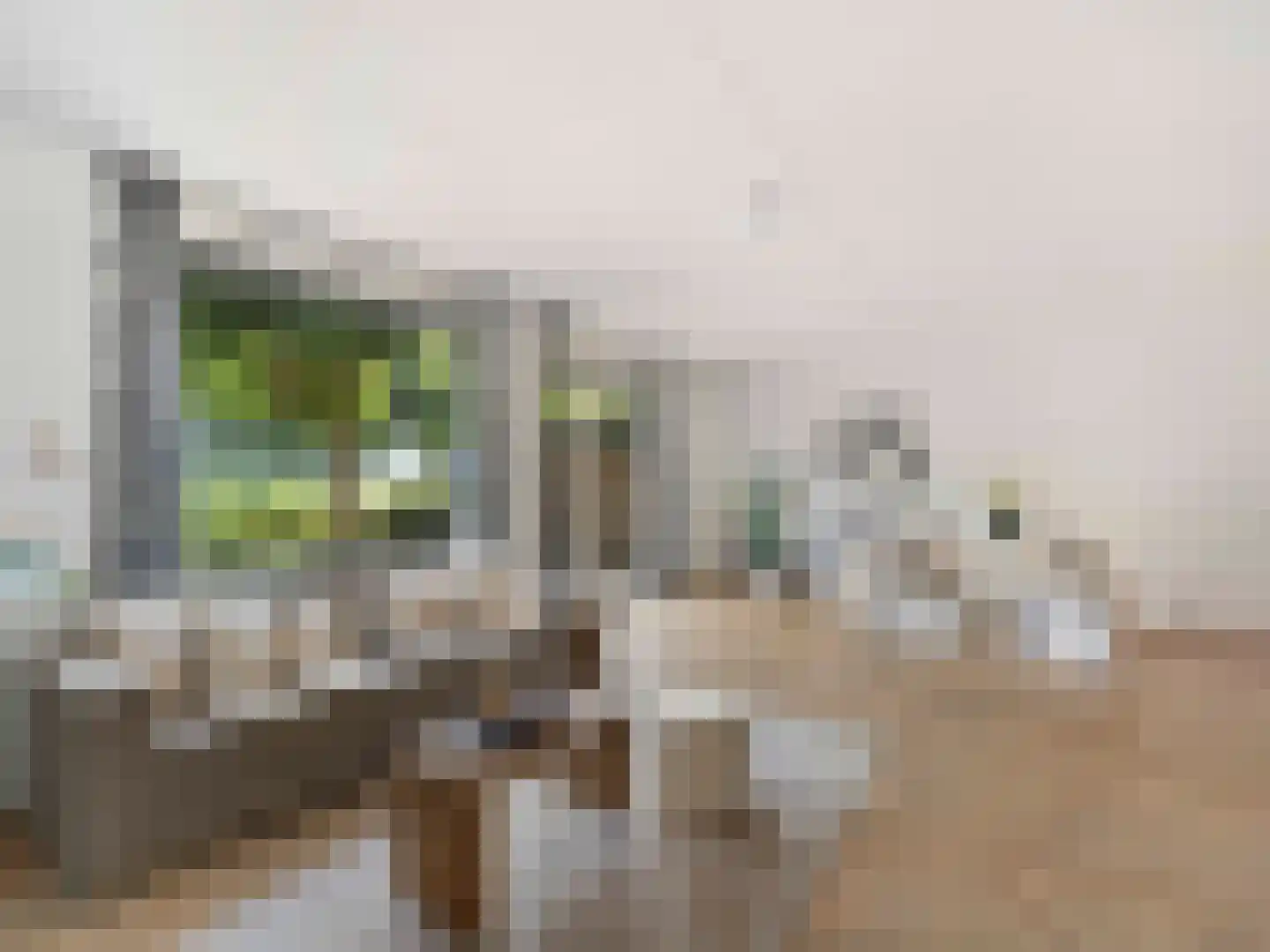 Jerry Bockstraat 57 Utrecht thumbnail 8