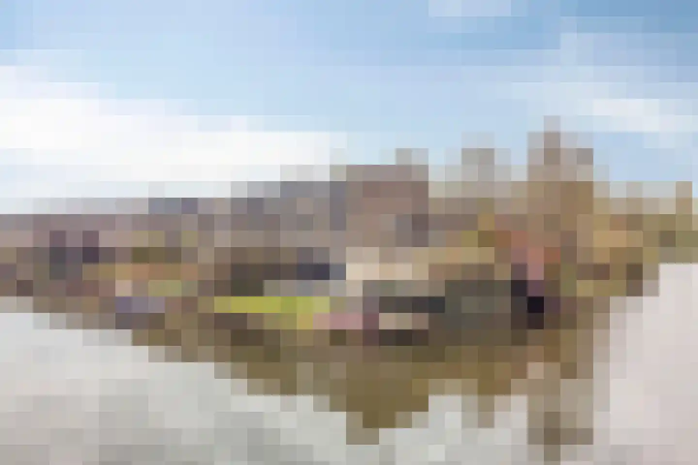 Jerry Bockstraat 61 Utrecht thumbnail 31
