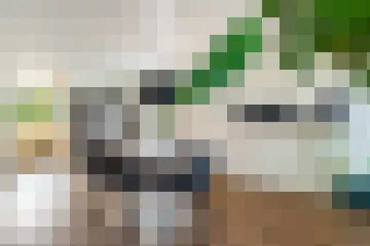 Jerseykade 20 Woerden thumbnail 11
