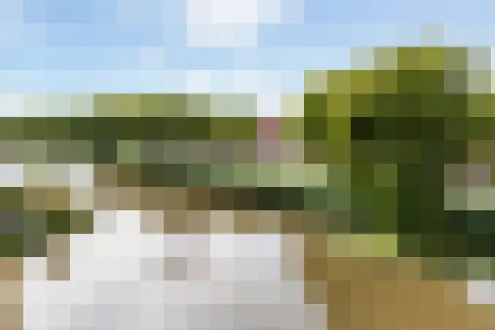 Jerseykade 20 Woerden thumbnail 26