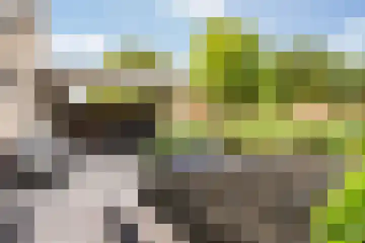 Jerseykade 20 Woerden thumbnail 29
