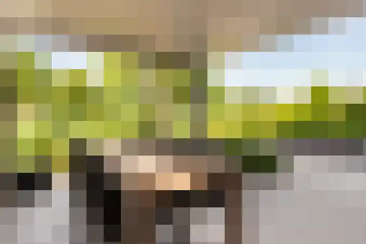 Jerseykade 20 Woerden thumbnail 32