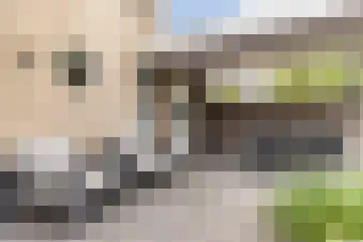 Jerseykade 20 Woerden thumbnail 33
