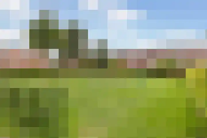 Jerseykade 20 Woerden thumbnail 38