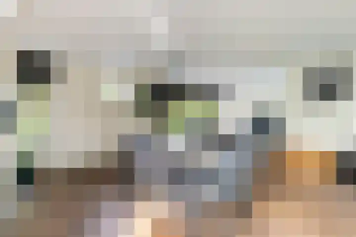 Jerseykade 20 Woerden thumbnail 5