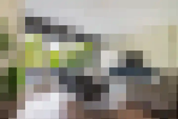 Jerseykade 20 Woerden thumbnail 8