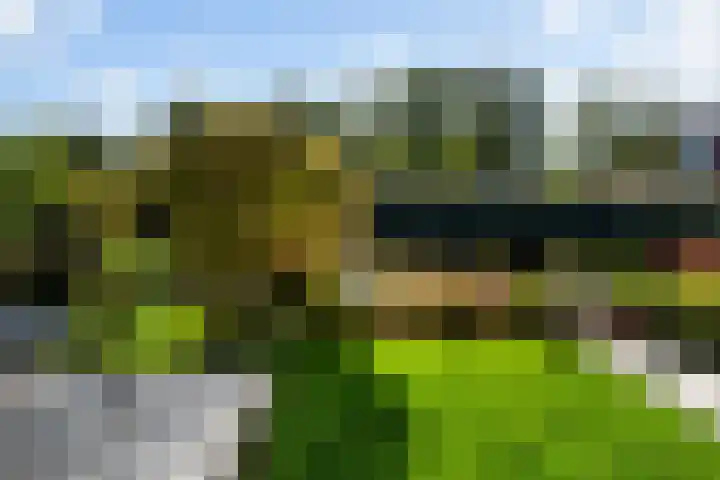 Jerseykade 24 Woerden thumbnail 18