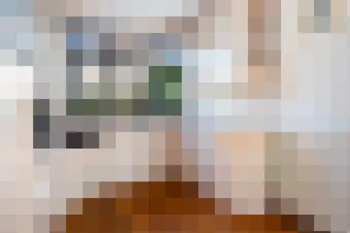 Jerseykade 24 Woerden thumbnail 23