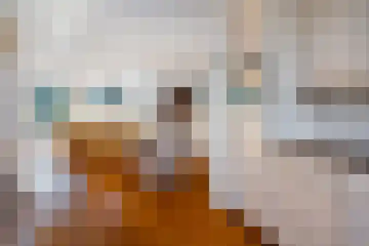Jerseykade 24 Woerden thumbnail 25