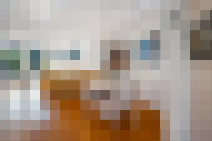 Jerseykade 24 Woerden thumbnail 26