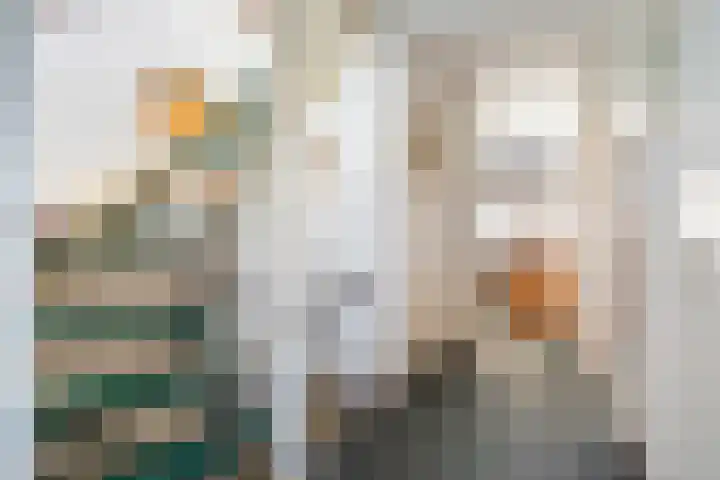 Jerseykade 24 Woerden thumbnail 28