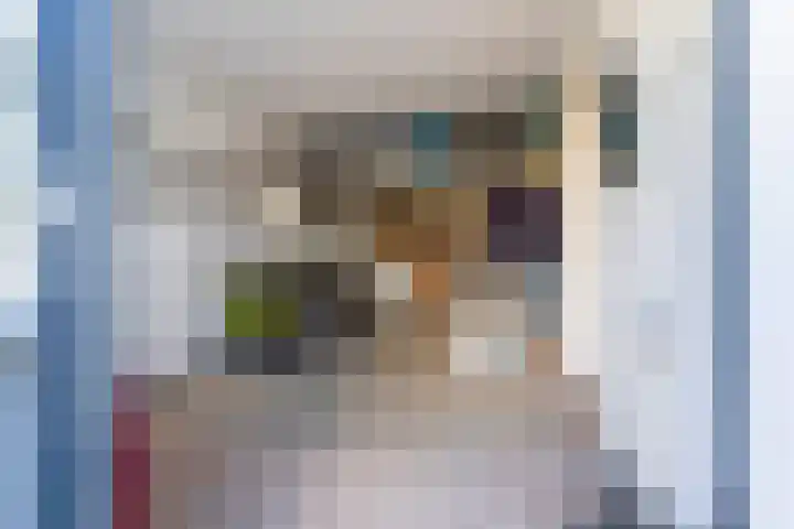 Jerseykade 24 Woerden thumbnail 47