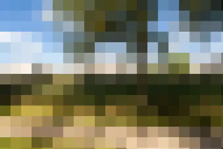 Jerseykade 24 Woerden thumbnail 59