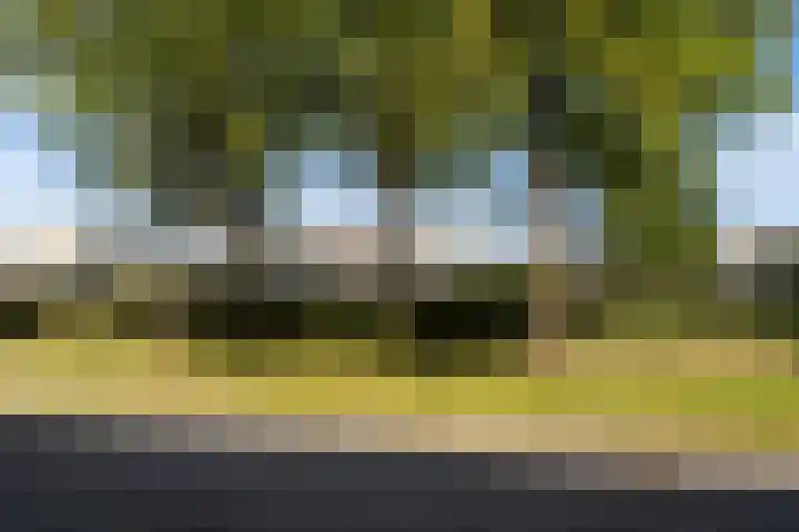 Jerseykade 24 Woerden thumbnail 62