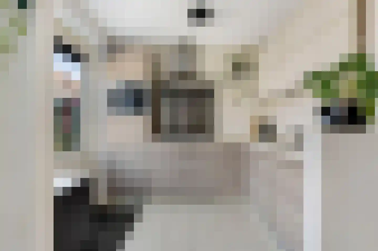 Jertjespad 2 Veldhoven thumbnail 10