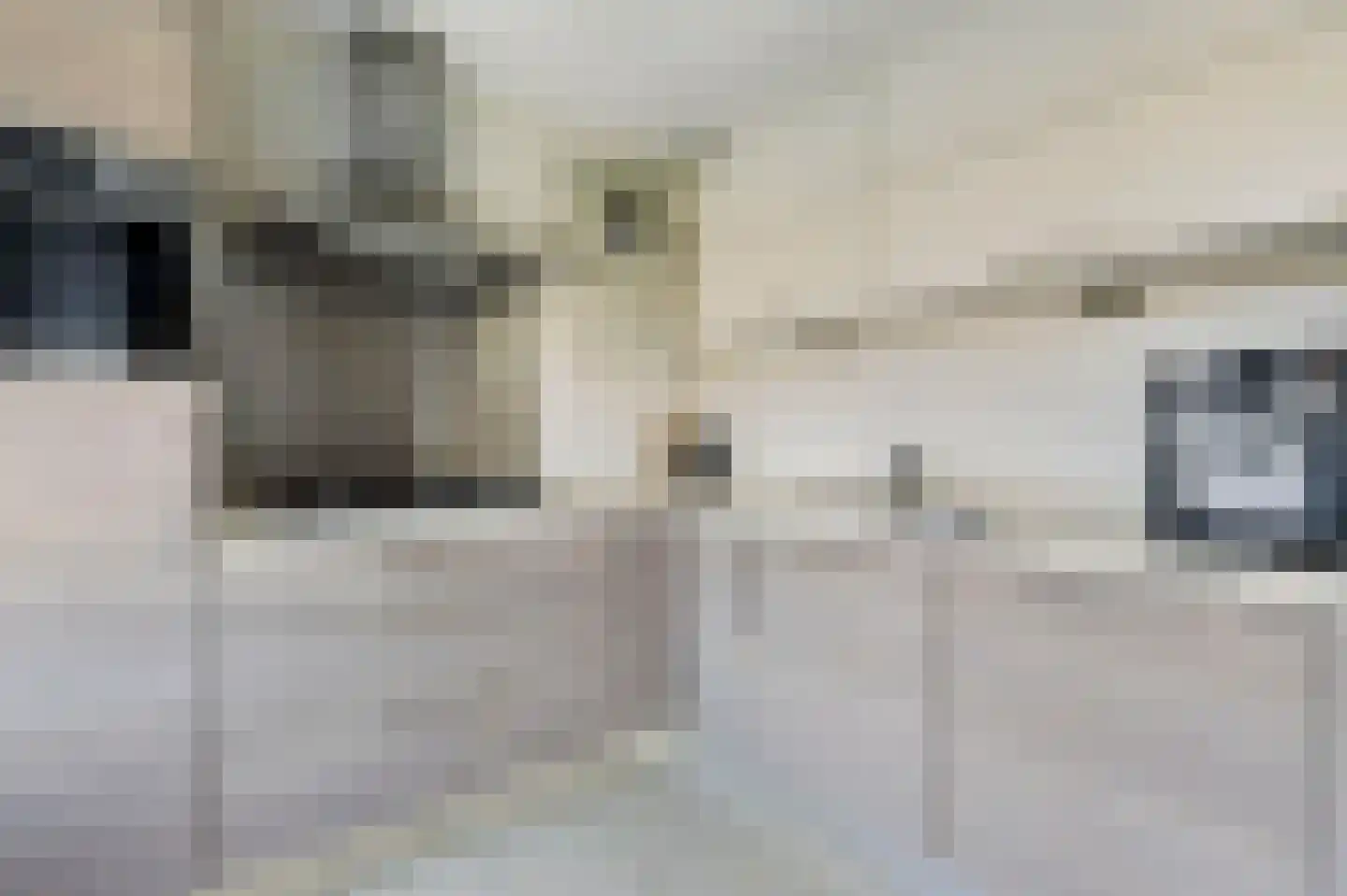 Jertjespad 2 Veldhoven thumbnail 12